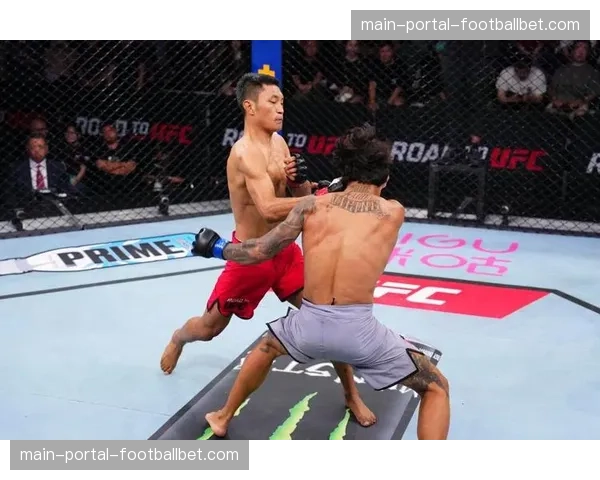 UFC主题纪录片《八角笼之路》获得体育艾美奖提名